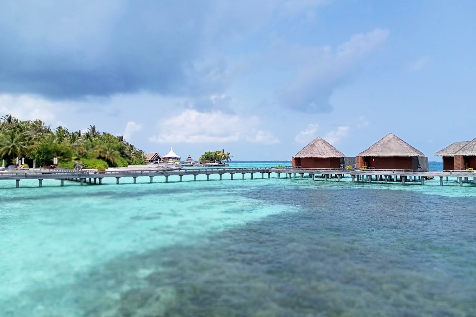 MALDIVES REPORT|モルディブ 視察ブログ