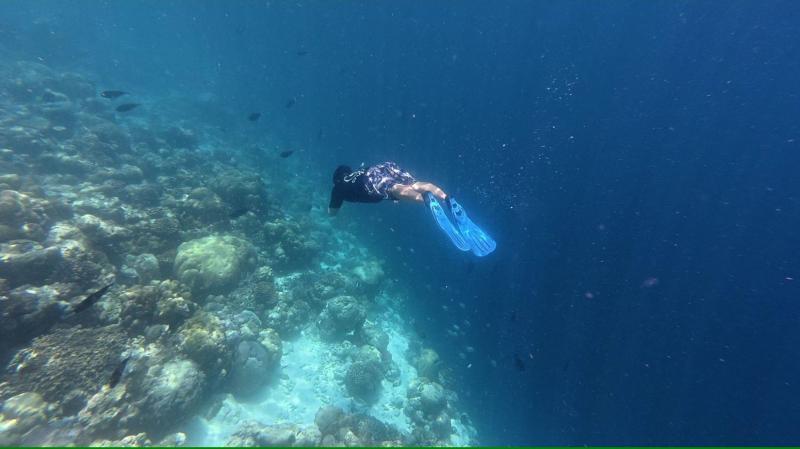 日がたつにつれて深く潜れるようになり満足。滞在中にYouTubeで勉強しました