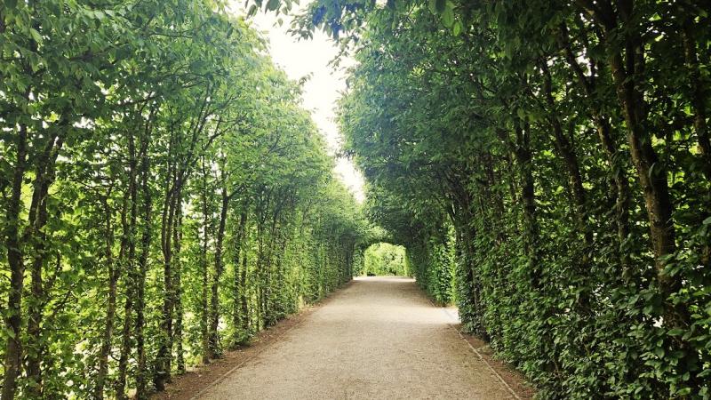 駐車場に続く道もおしゃれ