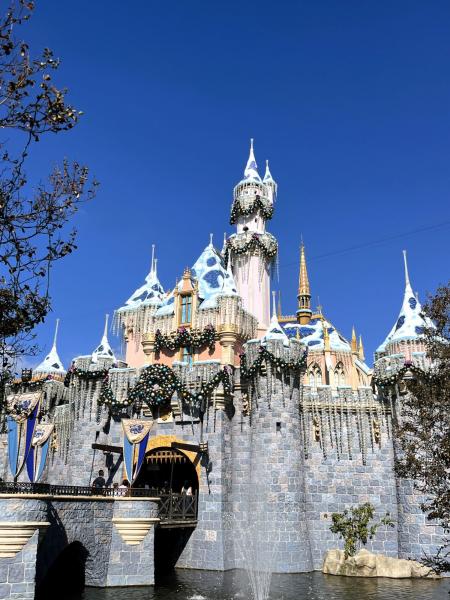 カリフォルニアのディズニーはやっぱり夢の国！