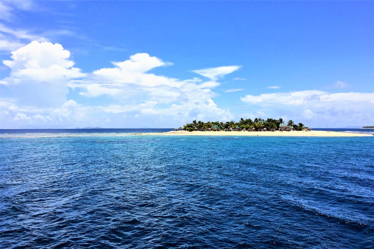VITI LEVU ISLAND REPORT|ビチレブ島（本島） 視察ブログ