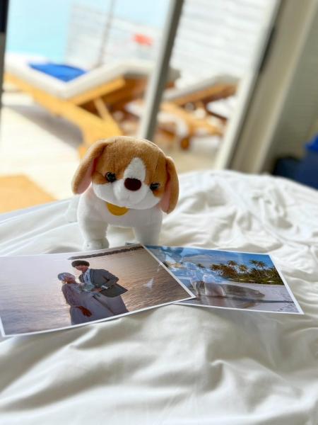 お気に入りのぬいぐるみも一緒に、ぬい旅をしました（笑）