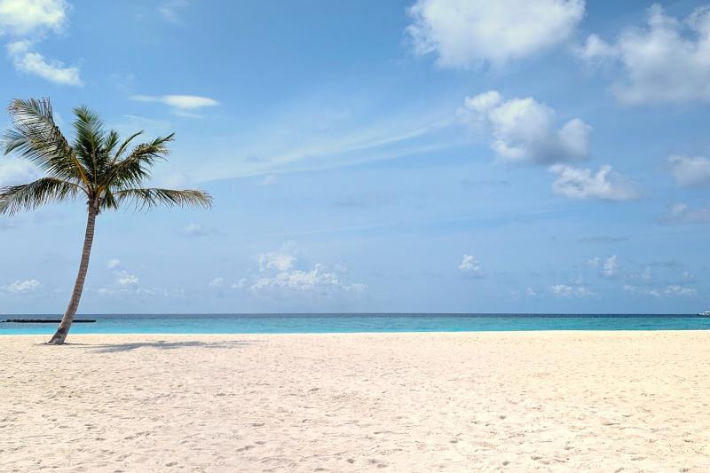 プールからの眺め。ビーチを見渡すことができます