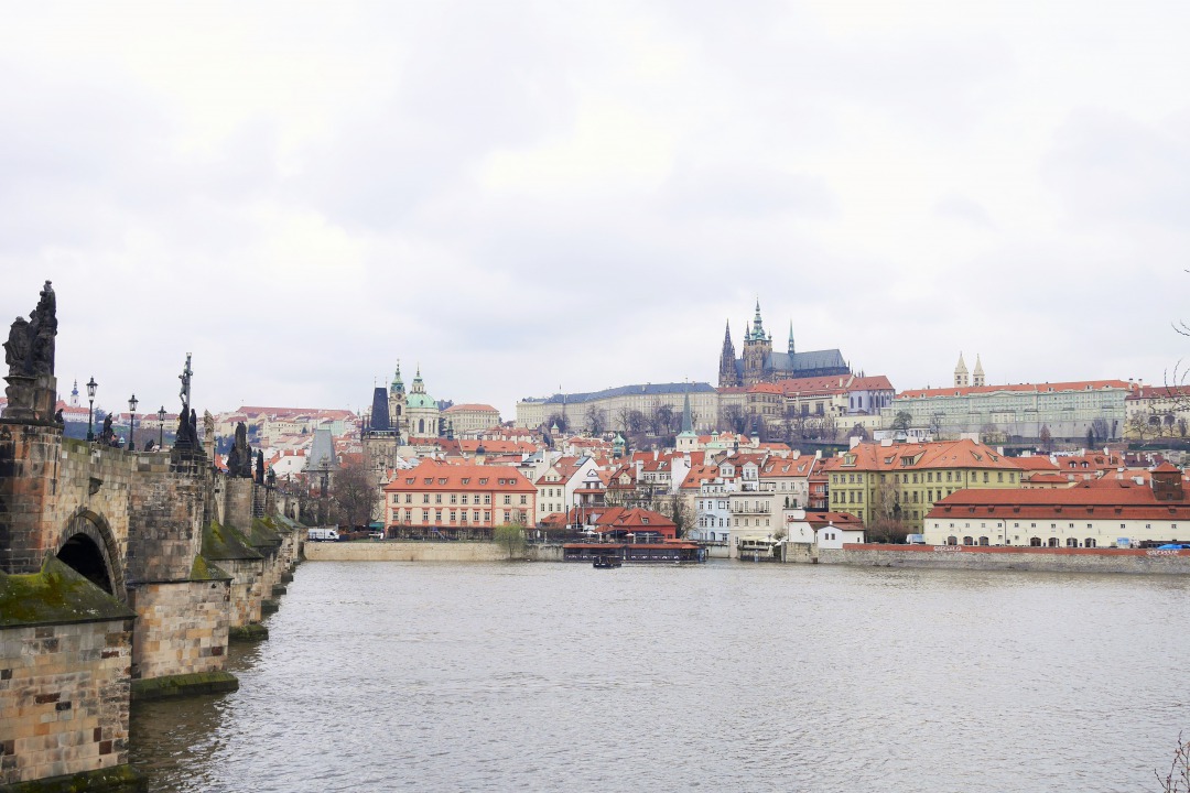 PRAGUE REPORT|プラハ 視察ブログ