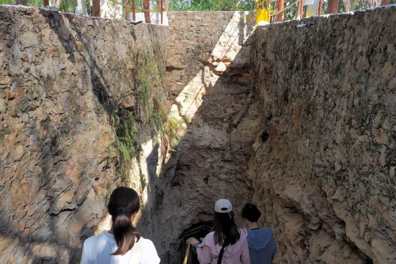 地上の入口から、階段でセノーテに入って行きます