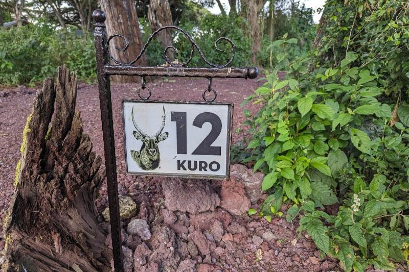 お部屋番号と野生動物の名前が書かれています