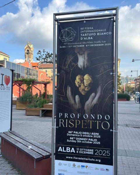 トリュフ祭りの看板