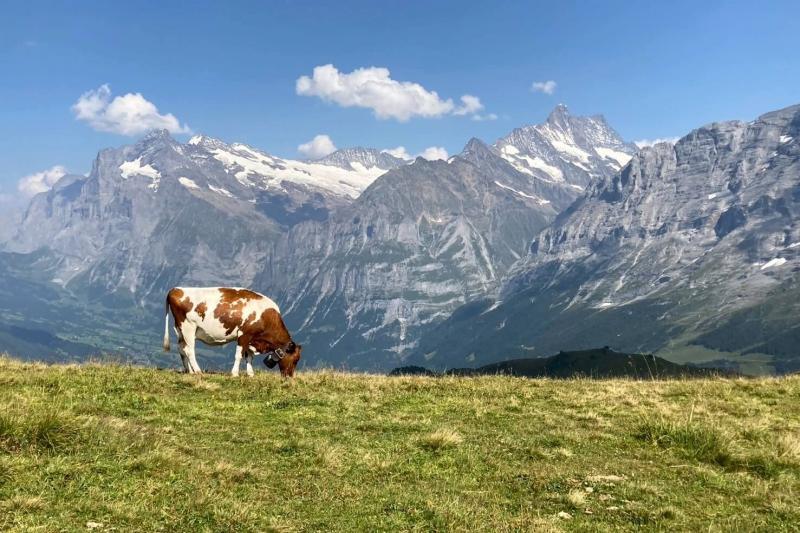メンリッヒェンの景色（ユングフラウ地方）