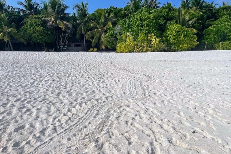 無人島の白い砂浜を独り占め！