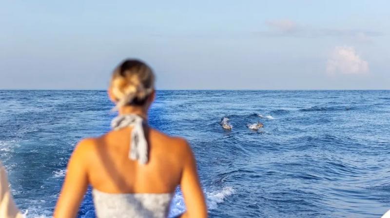 ドルフィンクルーズ