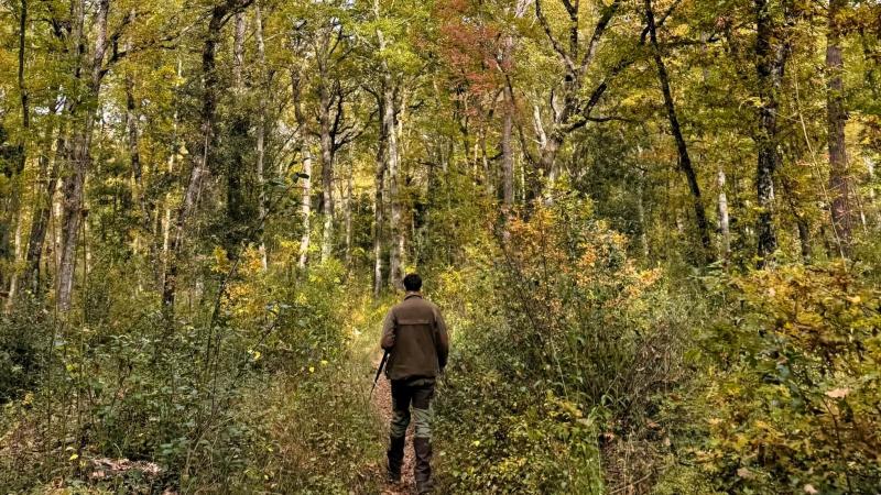 森林浴最高です！