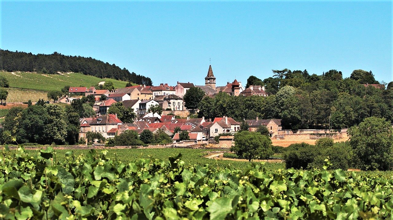 Bourgogne|ブルゴーニュ地方