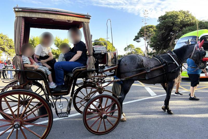 イムディーナで馬車に乗りました