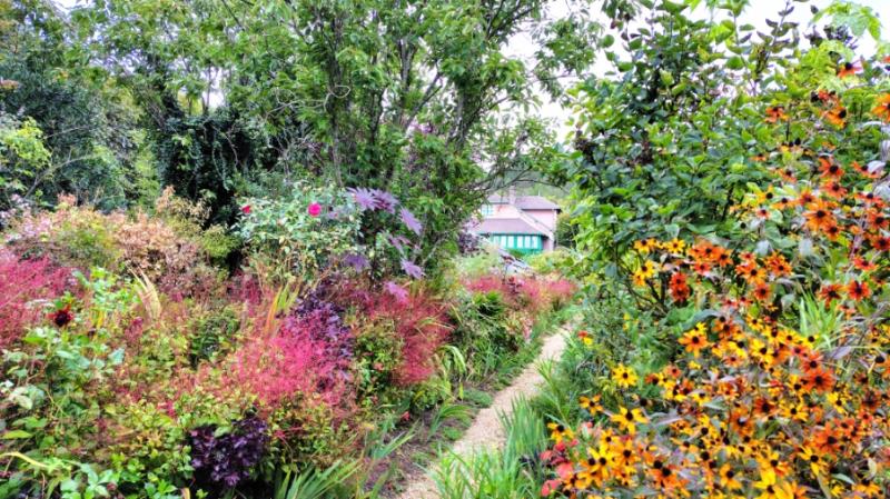 色とりどりの花と緑が生い茂る庭園（モネの家の庭園）