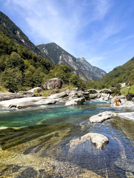 澄みきった川の流れに心が洗われるようです