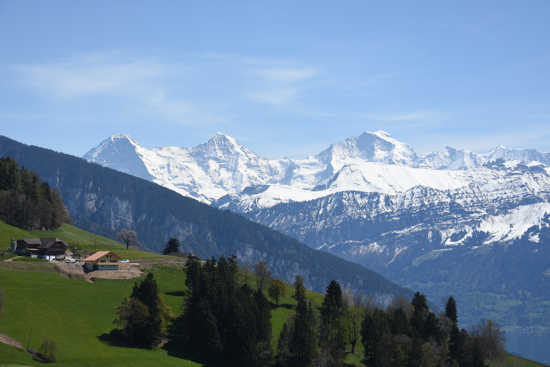 SWITZERLAND CRUISE|スイス クルーズ