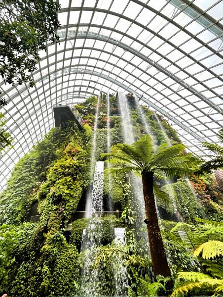 マリーナベイ サンズに隣接する植物園では、迫力のある滝の景色に圧倒されました