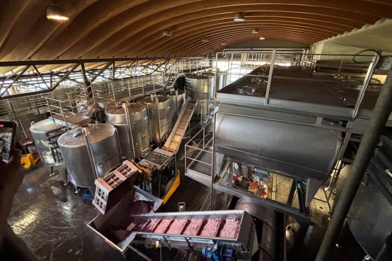 香りがすごい！ ワイン生産工場