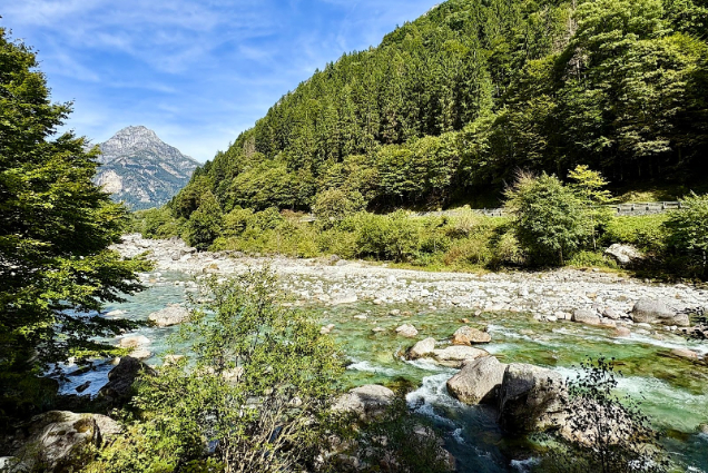 ハイキングコース沿いの川辺の様子