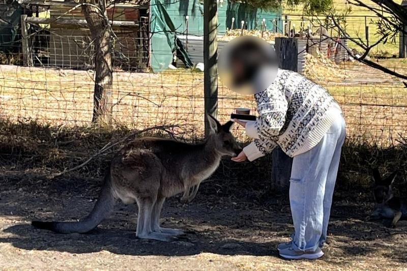 カンガルーにエサをあげている子ども達