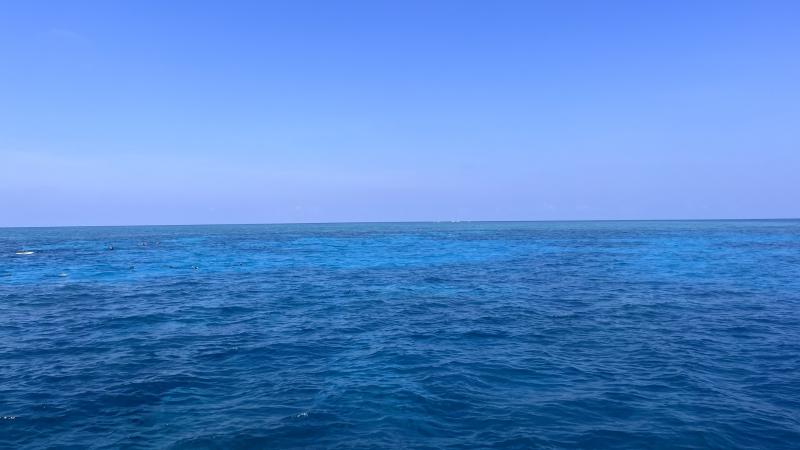 見渡す限りの海！