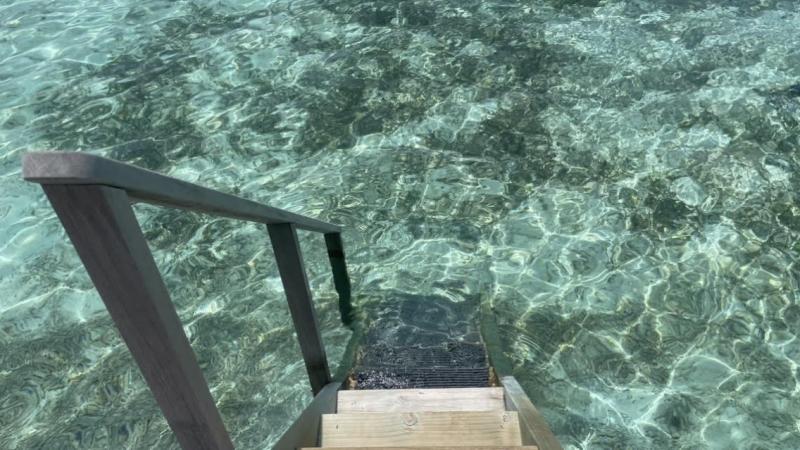 部屋から直接海に降りられる階段