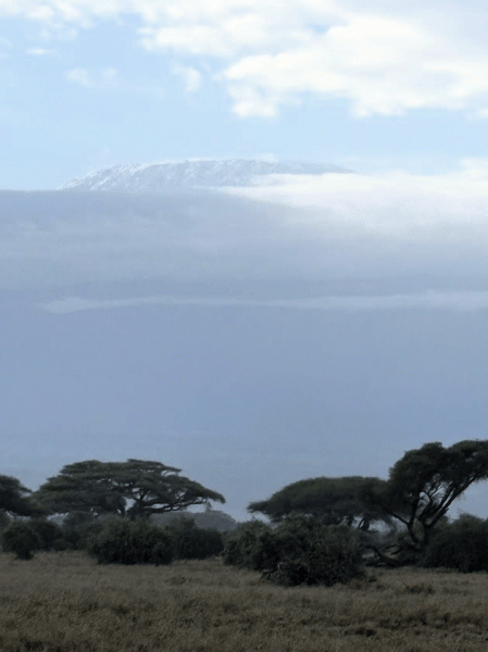 アンボセリからキリマンジャロがきれいに見られました