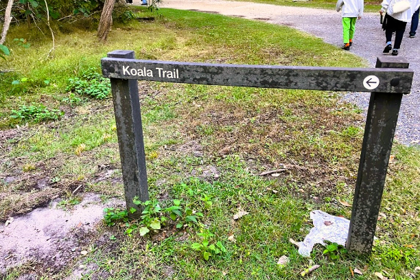 コアラの小道の入口