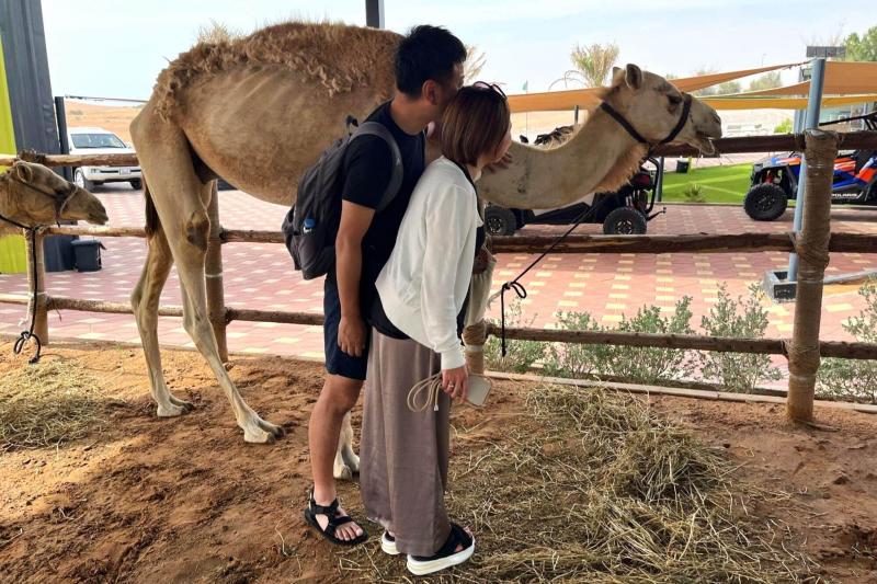 砂漠には本当にラクダがたくさん（写真：休憩所にいたラクダ）！ ラクダ乗り体験では、ラクダの上が思いの外高く、落ちそうで少し怖かったですが、ラクダに乗って砂漠を歩く貴重な体験もしました。