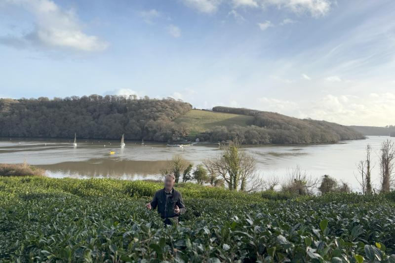 茶畑の説明をしてくれるジョナサンさん