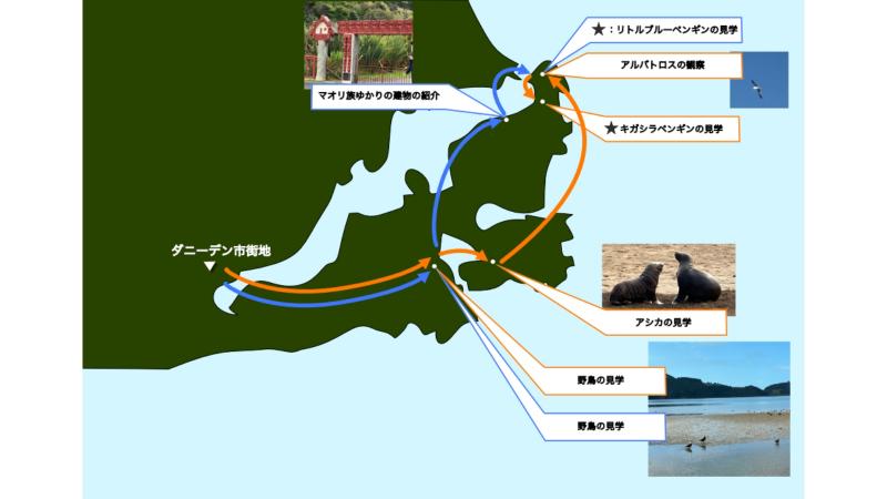 オタゴ半島を巡るツアーマップ（2つのツアーで巡った場所）