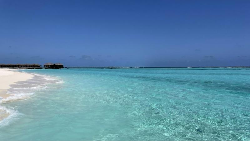 美しい海はずっと見ていられます！