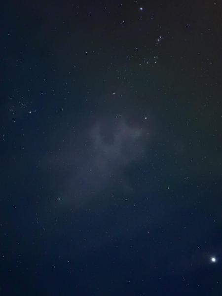 夜は星空や魚を見て過ごしました。月が日本より明るくて、見つめると眩しかったです！