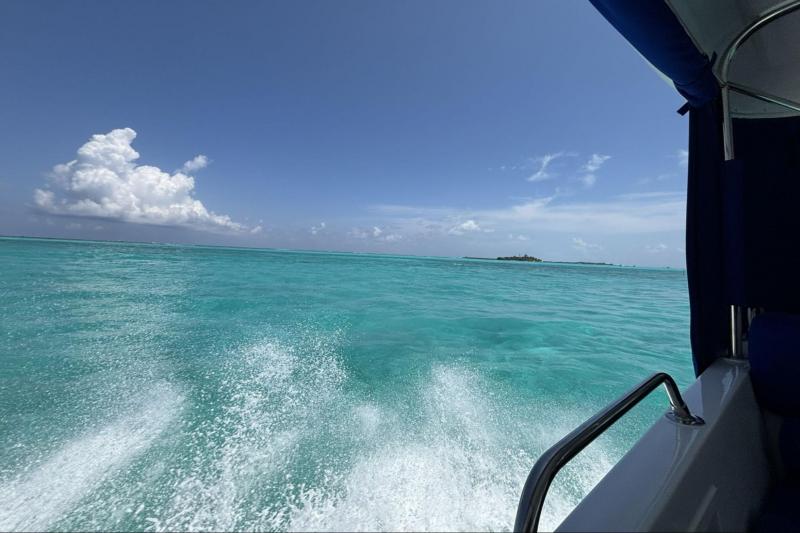 スピードボートからの景色