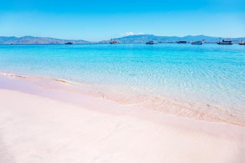 コモド国立公園クルーズの起点となるフローレス島のピンクビーチ