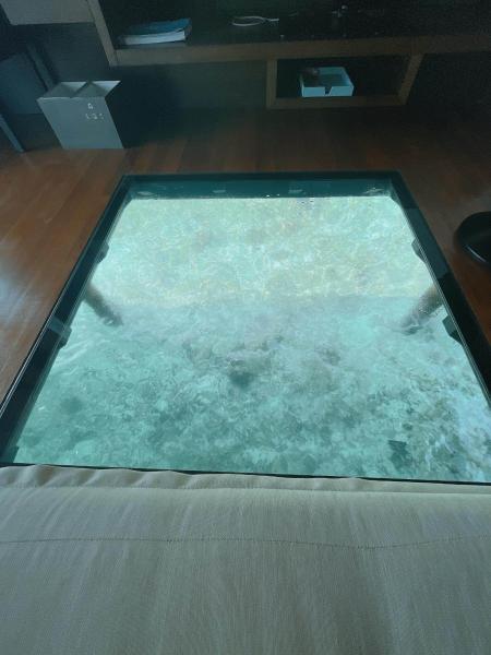 お部屋の床下から見える水面が、キラキラしてとてもきれいでした