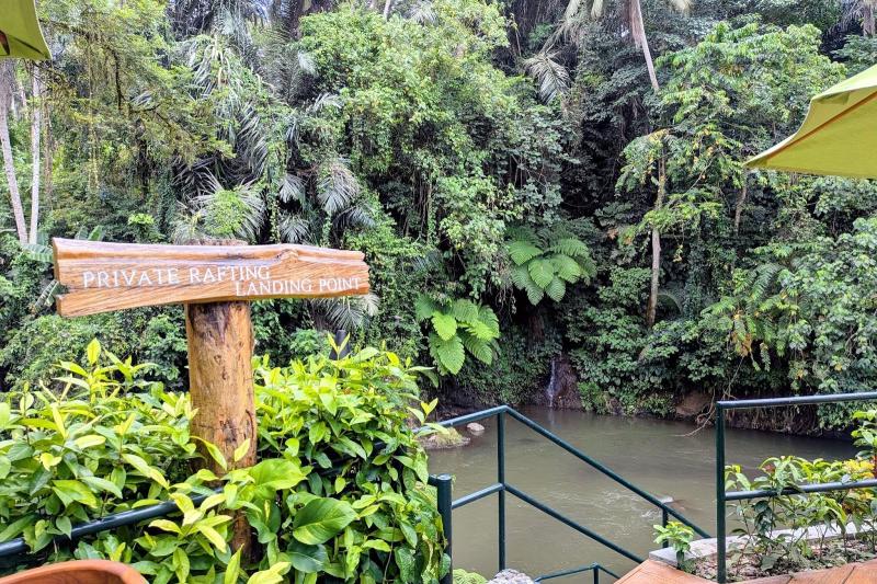 ボートの終着点はこちら