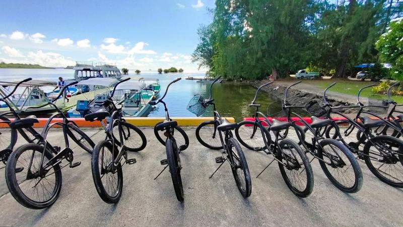 自転車がたくさん！