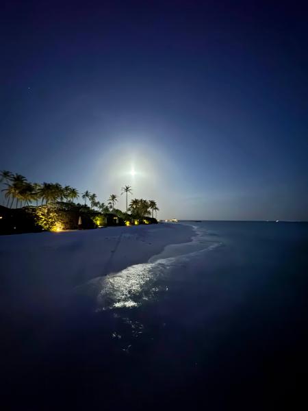 ご飯の帰りに取れた写真。月がきれいでした