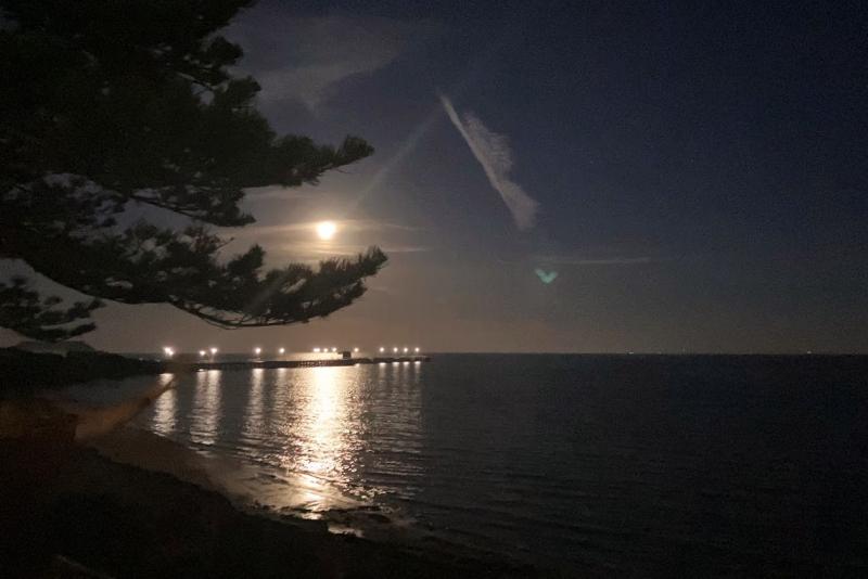 夜道の海に浮かぶ月