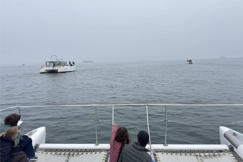 さらに湾内を進むと…