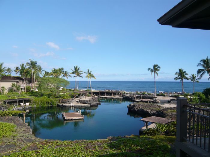 KONA REVIEW|ハワイ島 お客様の声
