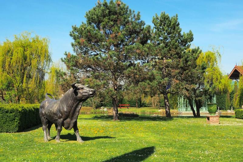 身近に緑を感じることのできる公園