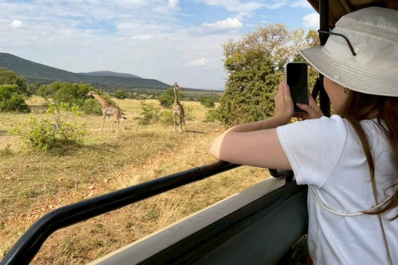 サファリでの様子。すぐ近くにキリン。ガイド歴30年のピーターさんが撮りやすい場所を探してくれました