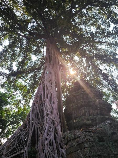 タプローム寺院