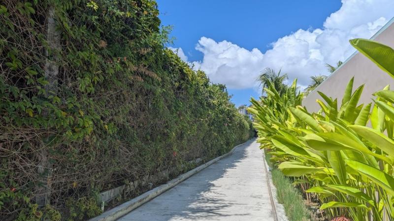 エントランスへの1本道