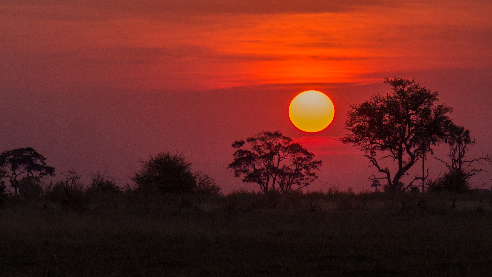 Okavango Delta REPORT|オカバンゴデルタ 視察ブログ
