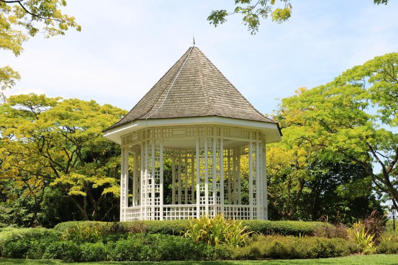 ●シンガポール植物園シンガポール初にして、唯一の世界遺産のシンガポール植物園。特に世界最大級のラン園や、ジンジャーガーデン、エボリューションガーデンが人気のエリア。日本ではお目にかかれない熱帯植物をご覧になってみてください。