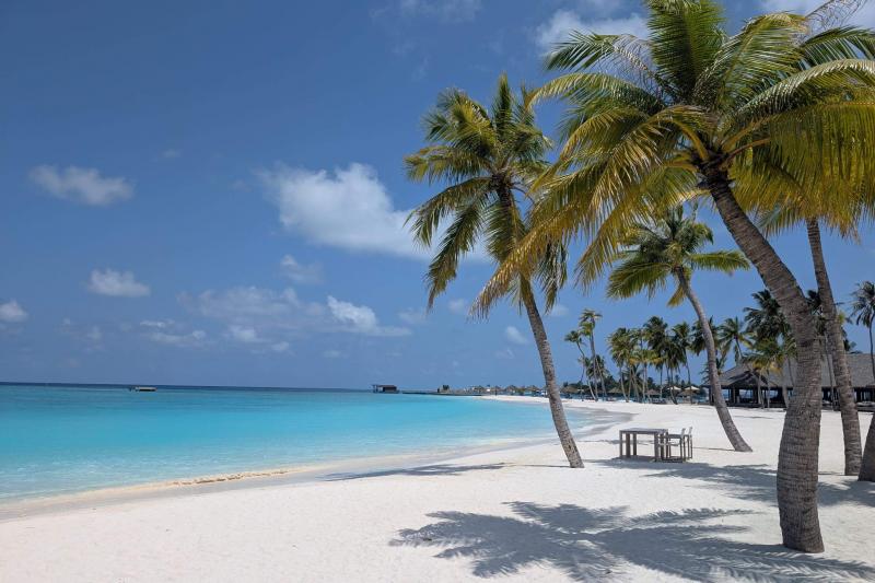 お天気も良くて最高の景色！