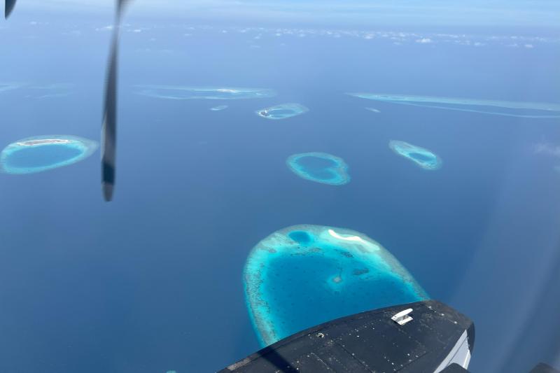 水上飛行機からの景色